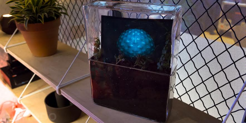 Illustration for article titled This Flickering Screen Is Powered by Plant-Eating Bacteria